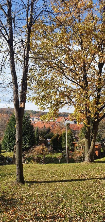 A&S Apartaments - Relax Wałbrzych Dış mekan fotoğraf